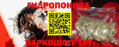 шишки Бузулук