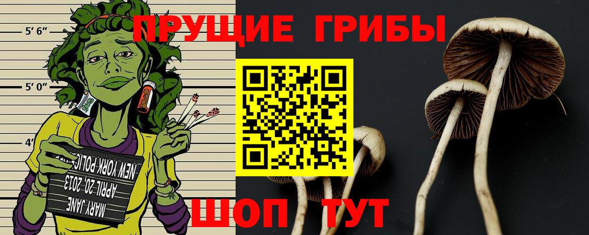 Псилоцибиновые грибы ЛСД Кубинка